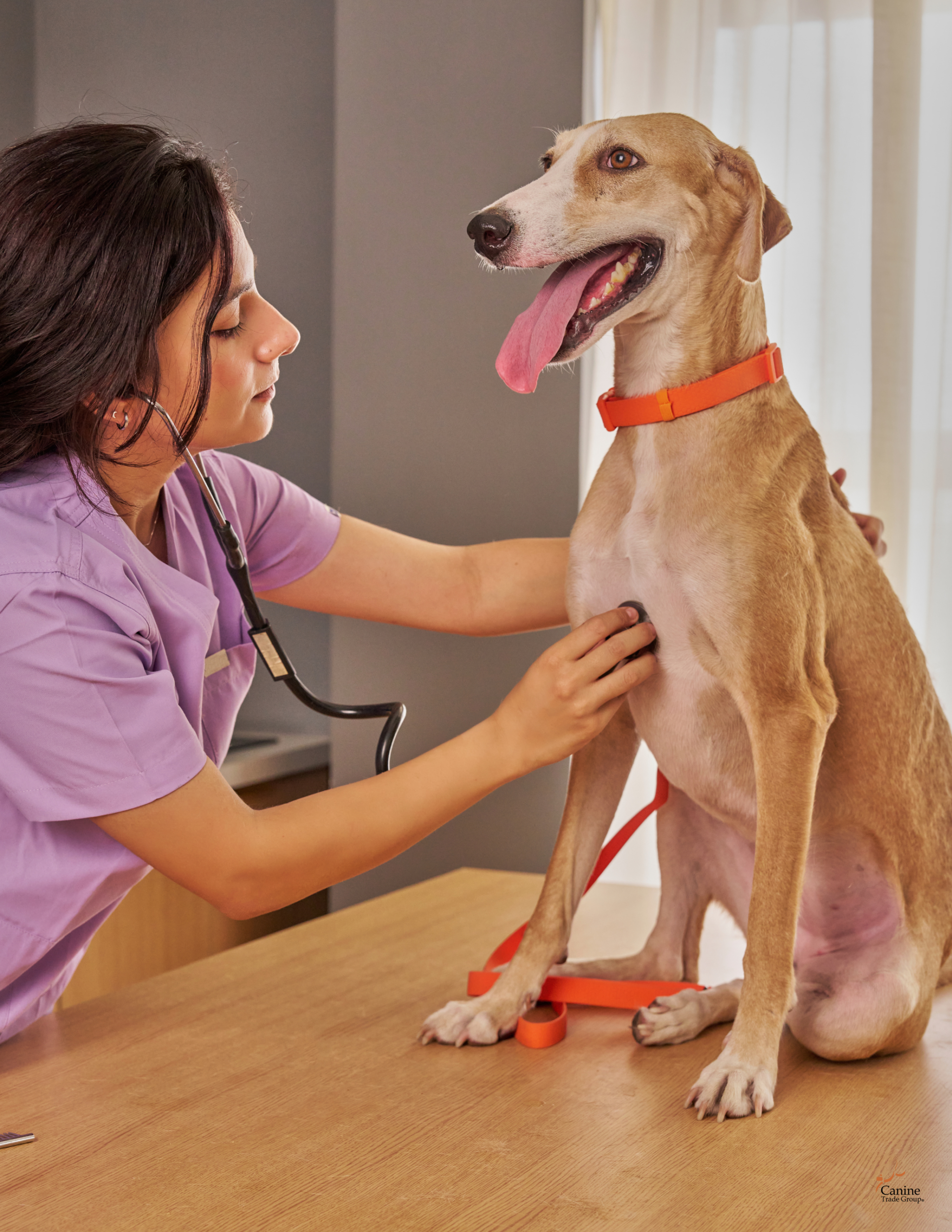 vetiquette with canine trade group