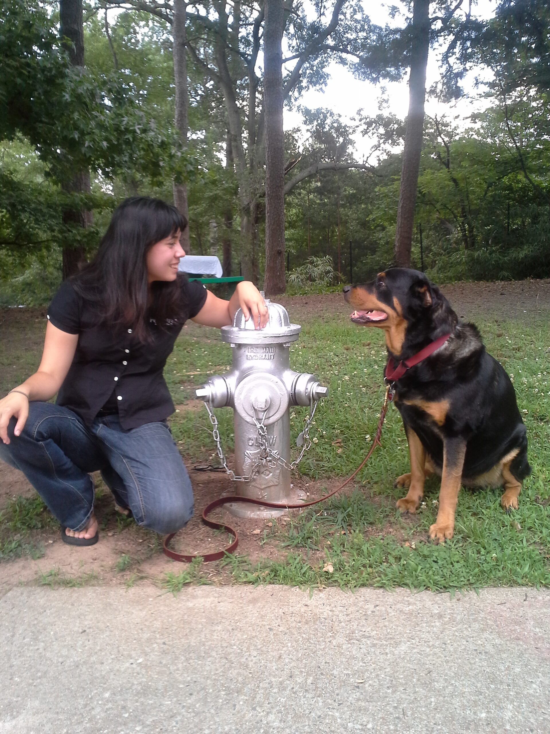 atlanta dog trainer, christina dore